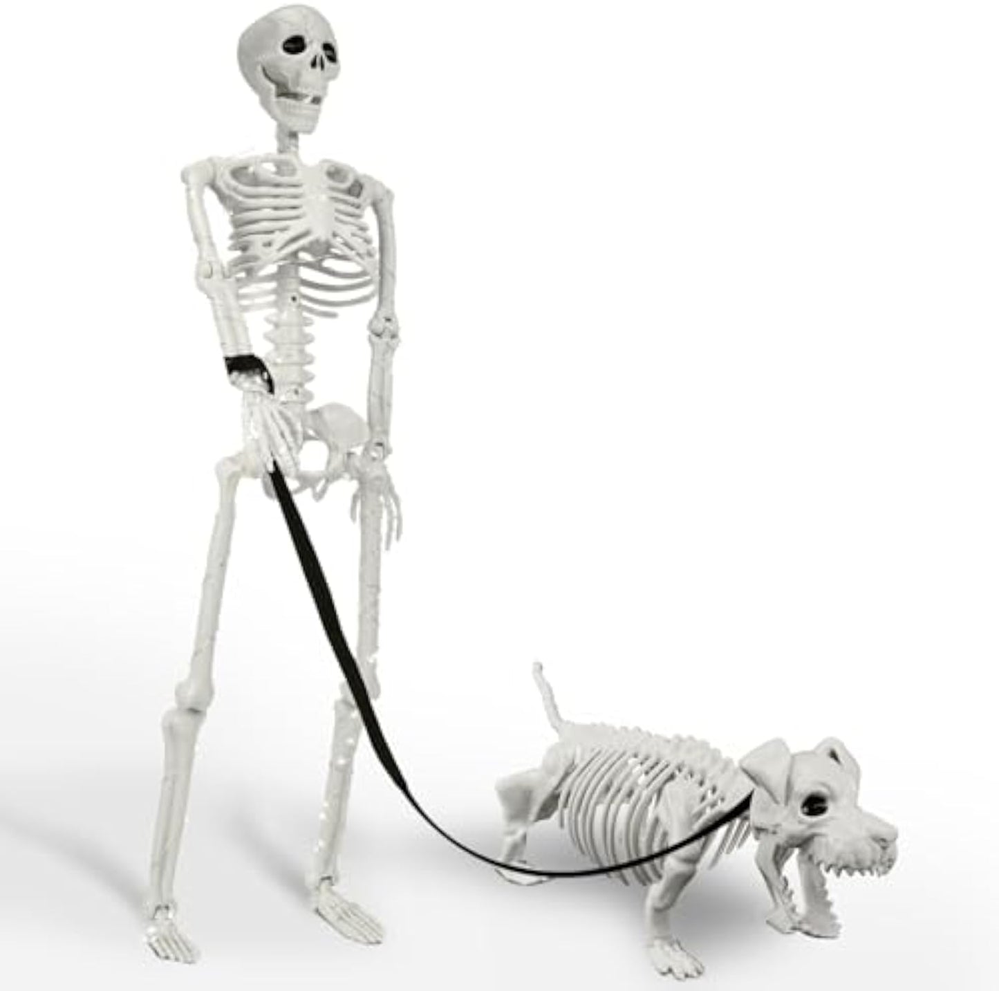 Lighted Human & Dog Skeleton Halloween Decorations Outdoor/Indoor - 36 Inch